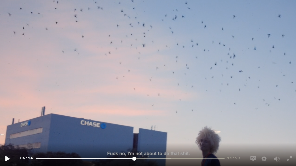 Pink dusk: martins wheel over the Chase Bank cube while a woman stands beneath the swarm.
