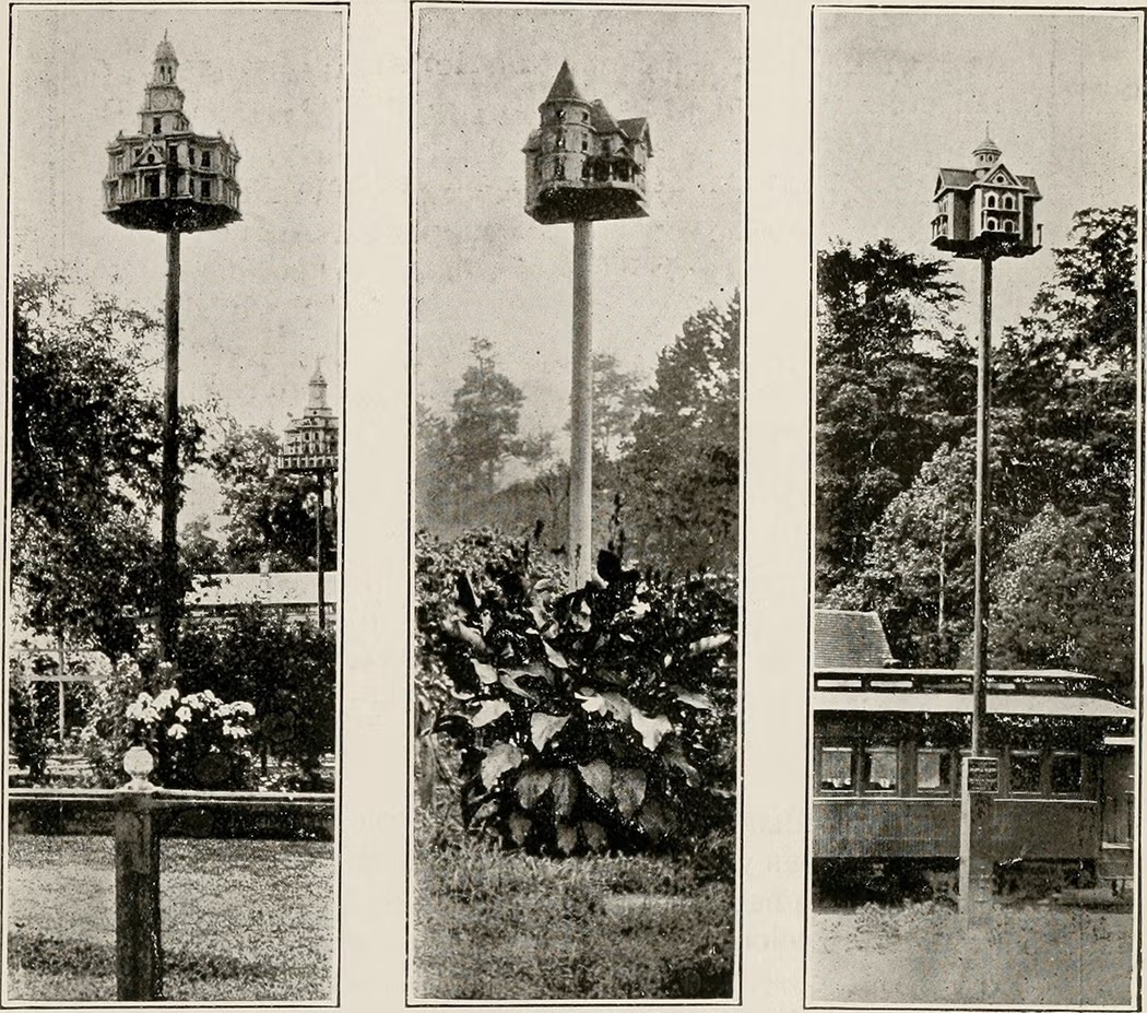 Three ornate Victorian and Edwardian martin houses on tall poles, from an 1898 illustration — miniature mansions and towers.
